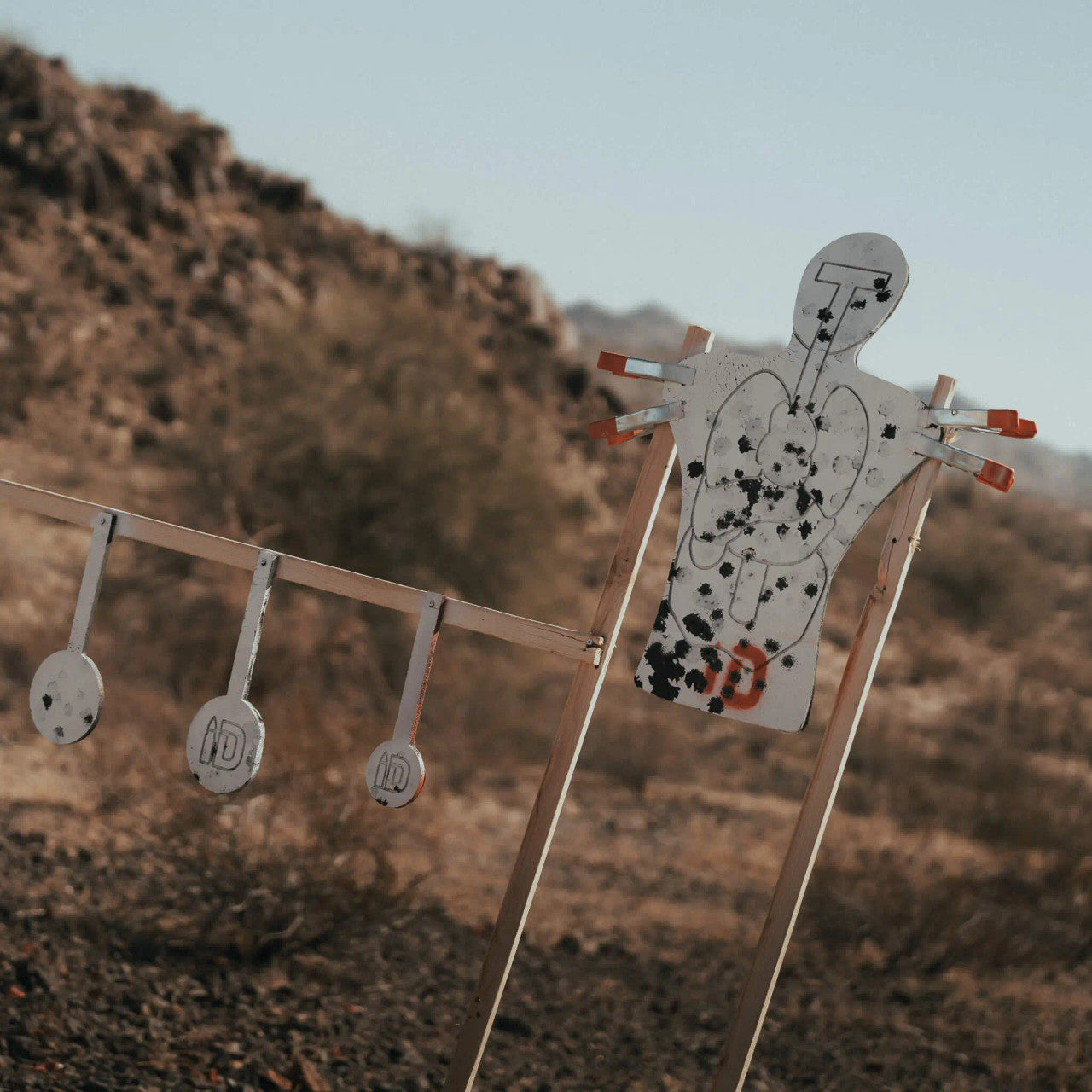 ANATOMICAL TORSO TARGET