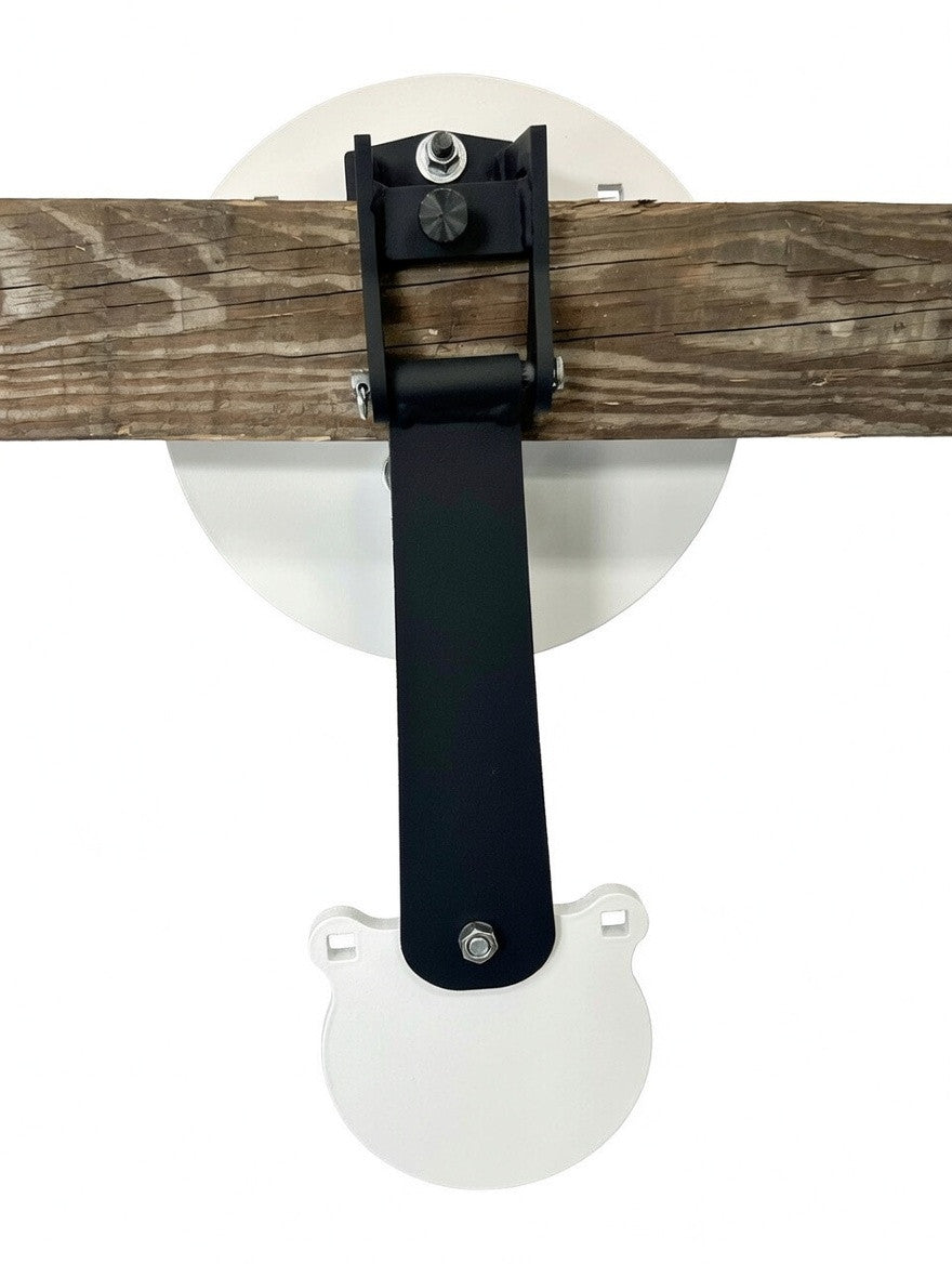 Single Stationary Target With Swinger