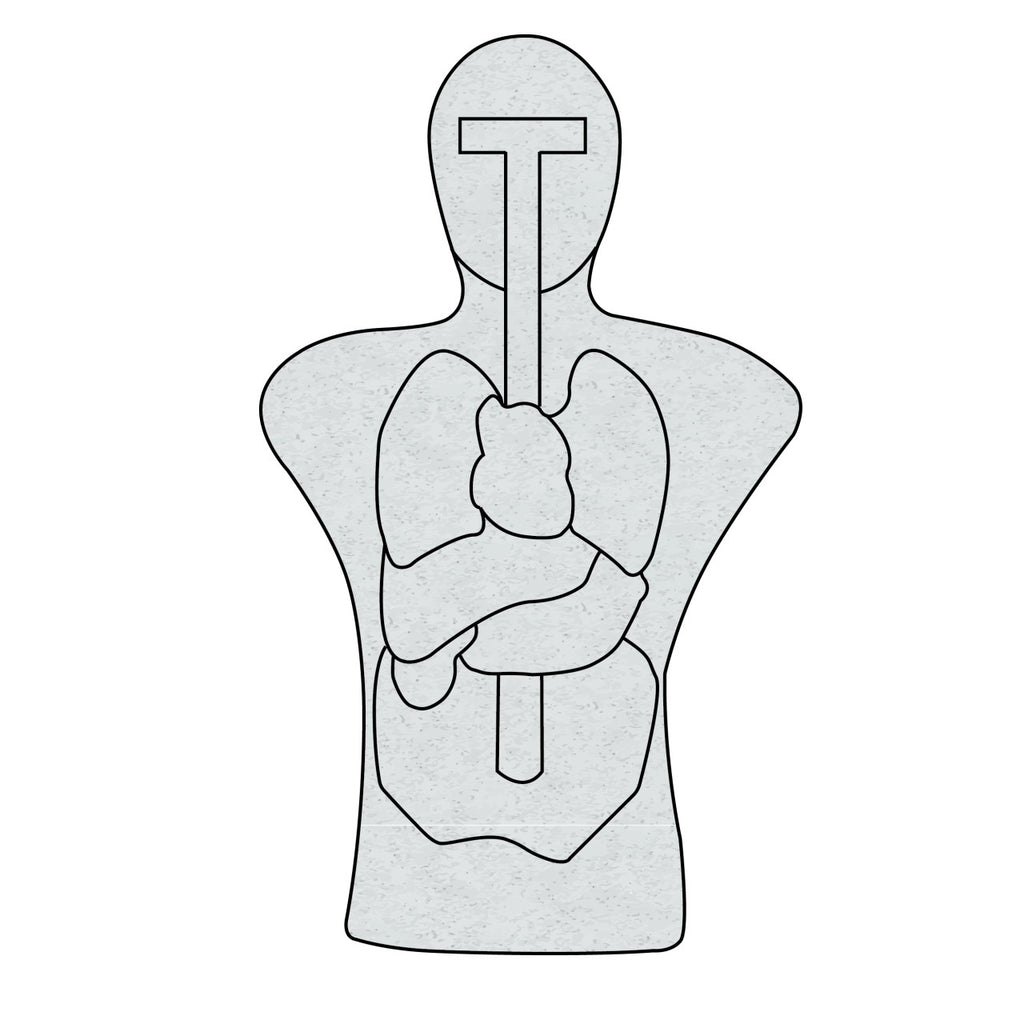 ANATOMICAL TORSO TARGET