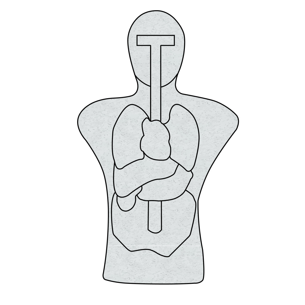 ANATOMICAL TORSO TARGET